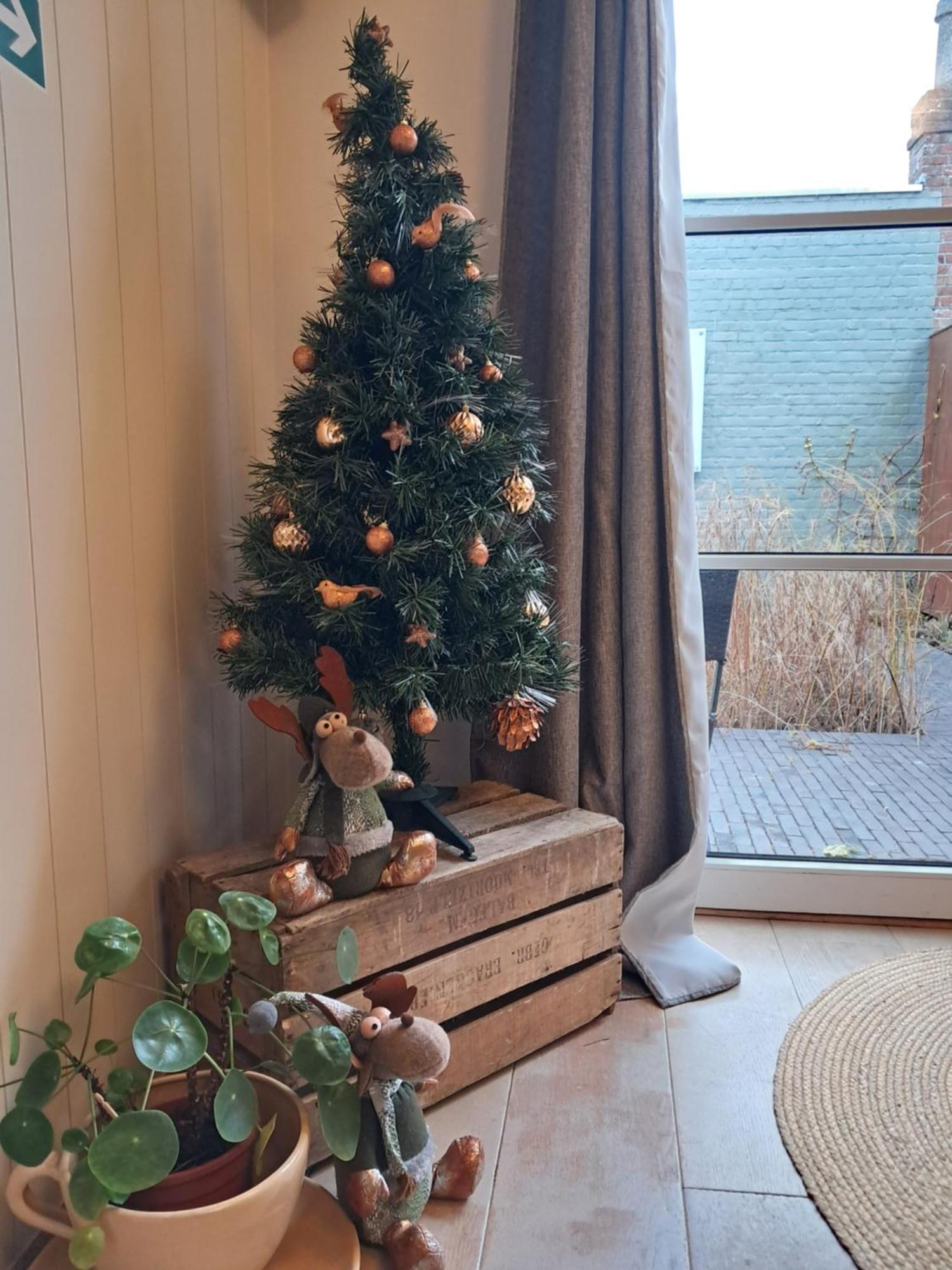 Home Away Blankenberge Ngoại thất bức ảnh